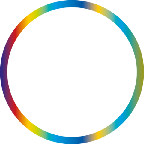 LA FUNDACIÓ RUBRICATUS